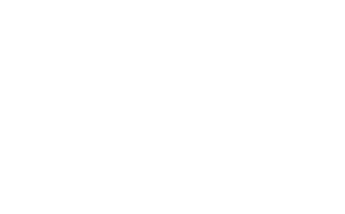 Maguiña F&R